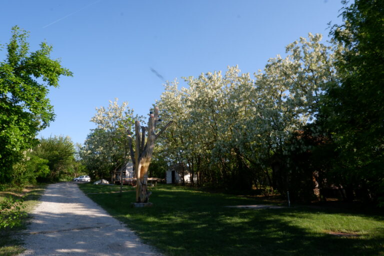 JandaLa